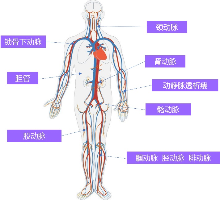 &#112;&#112;&#30005;&#23376;&#40;&#20013;&#22269;&#28216;&#41;&#23448;&#26041;&#22312;&#32447;&#24179;&#21488;